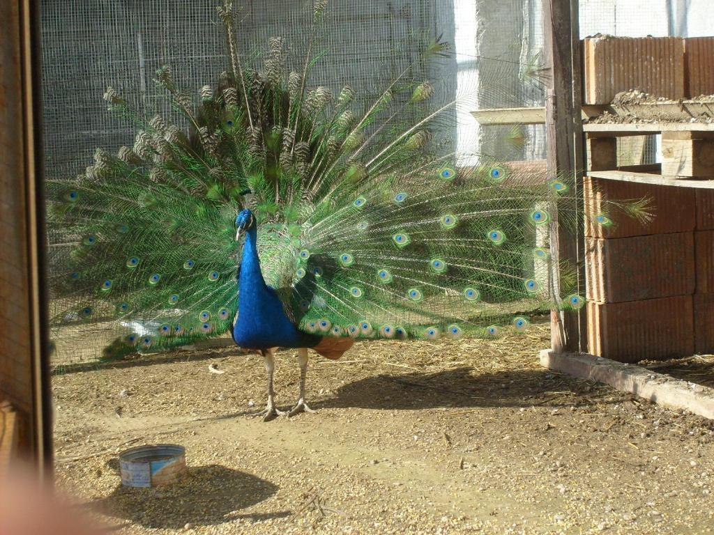 Senorio De Monterruiz Guest House Casas de Santa Cruz ภายนอก รูปภาพ